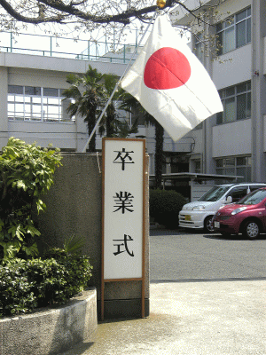 s\wZƎ