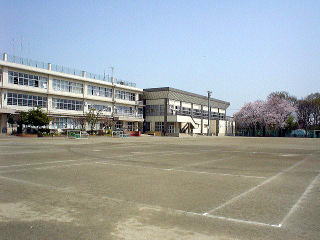 lwZ